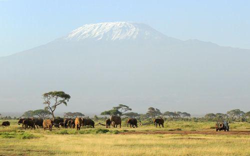 Day 1–2: Amboseli National Park
