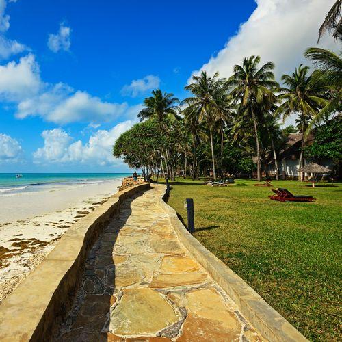 Day 7- 8 Under the Sun - Diani