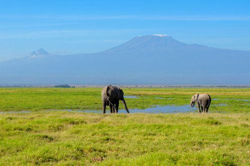 3 Days Amboseli By Road Safari