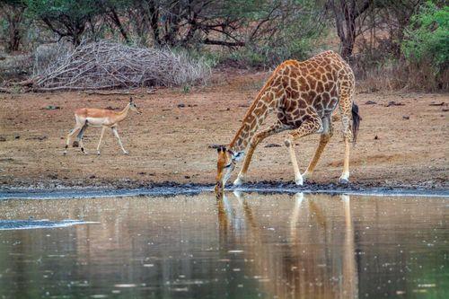 Day 12: Ngorongoro Conservation Area - Lake Manyara National Park