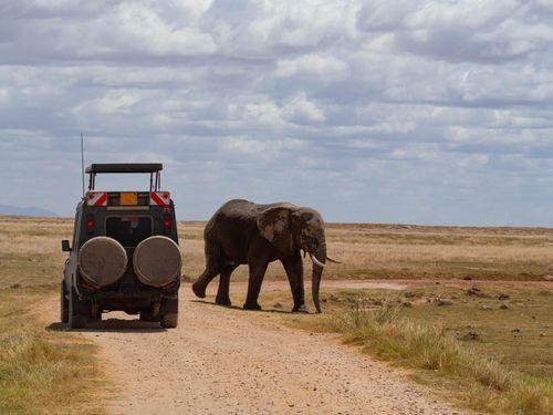 Day 1: Nairobi -Amboseli