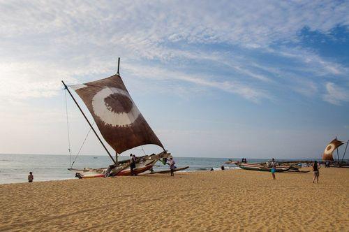 Day 1: Effortless Luxury by the Shores of Negombo