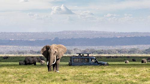 Day 6: Masai Mara National Park