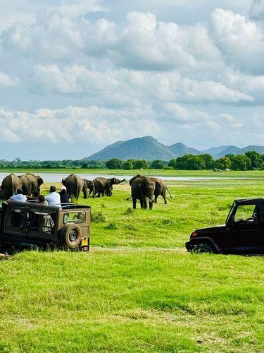 Day 4: Wasgamuwa Wildlife Adventure