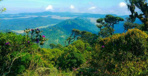 Day 6: Horton Plains Hike and Scenic Waterfalls