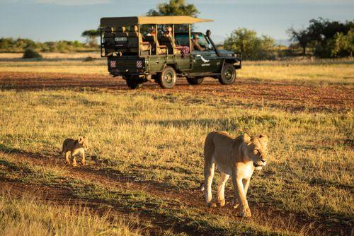 3 Days Safari Masai Mara