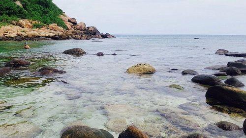 Day 5: Pigeon Island Snorkeling, Whale Watching & Koneswaram Temple Tour