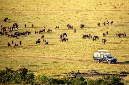Day 6: Maasai Mara National Park