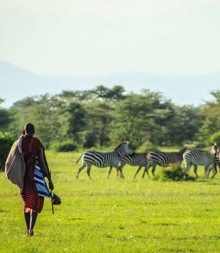Day 9: Nairobi Departure